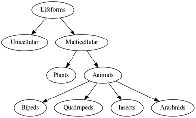 Example Taxonomy using Morphological Classification